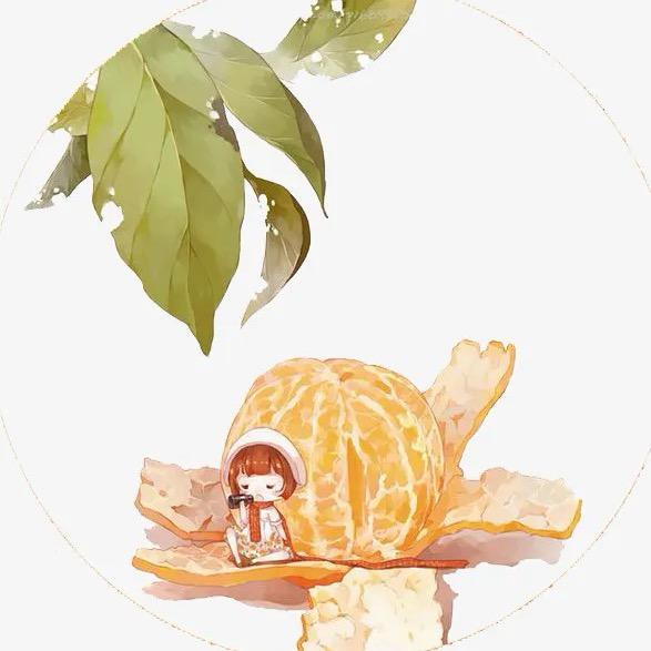 橙子的试衣间🍊