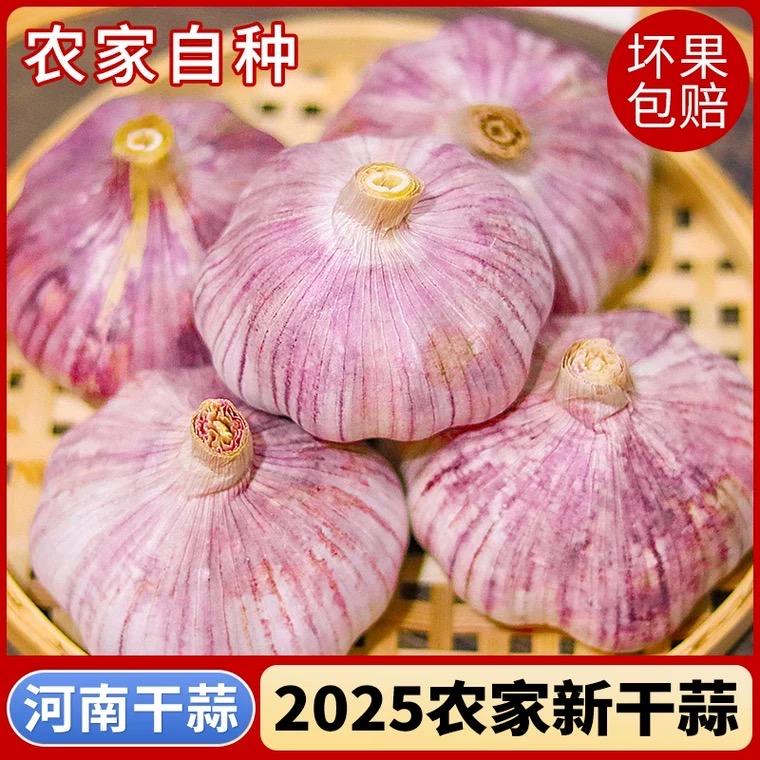 大山果农生态园