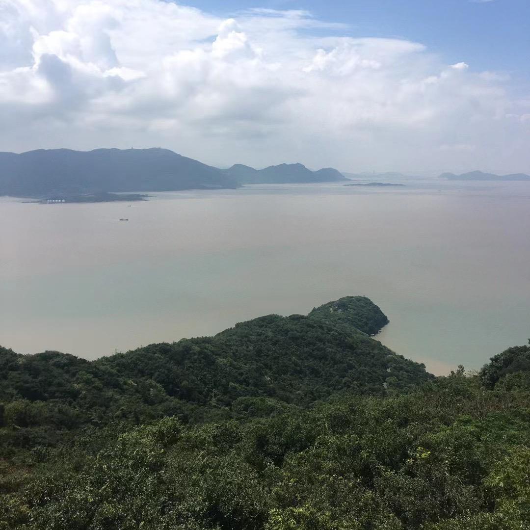 向明天微笑