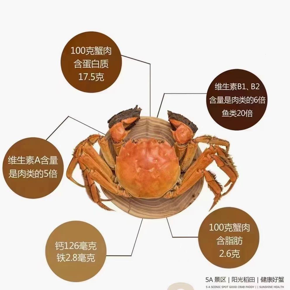 盘锦柱子稻蟹水产品