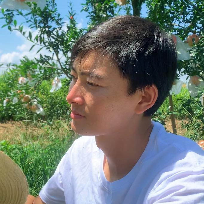 杨鸽子