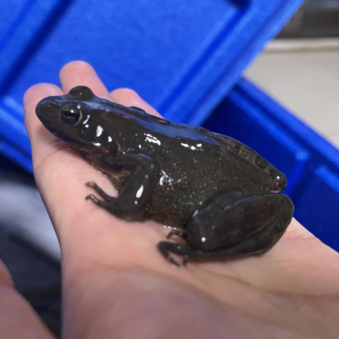 卓志山特产水产品经销店