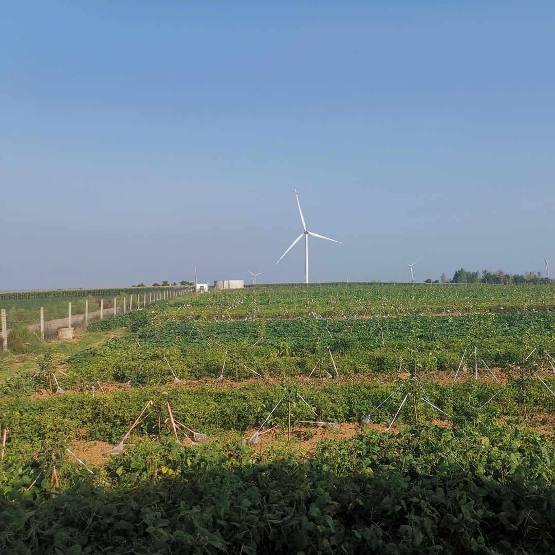 兵荣优选农产品店