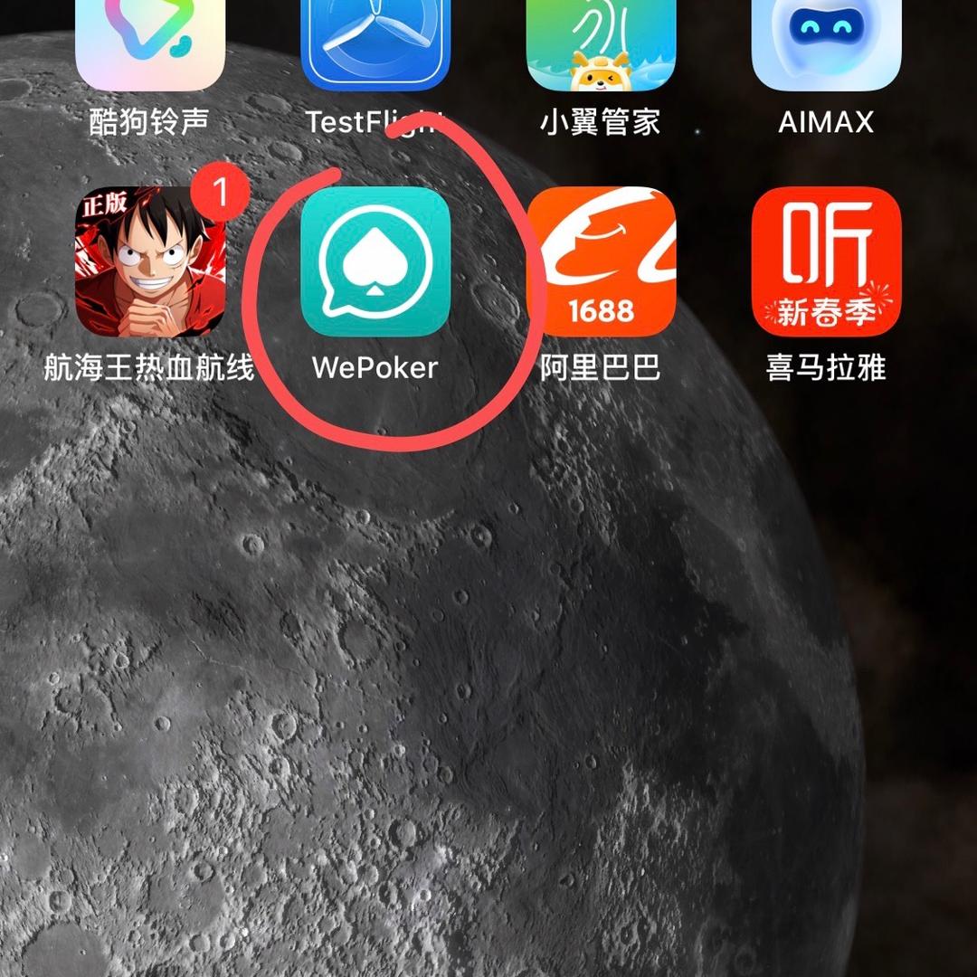 。。。。了没食子酸