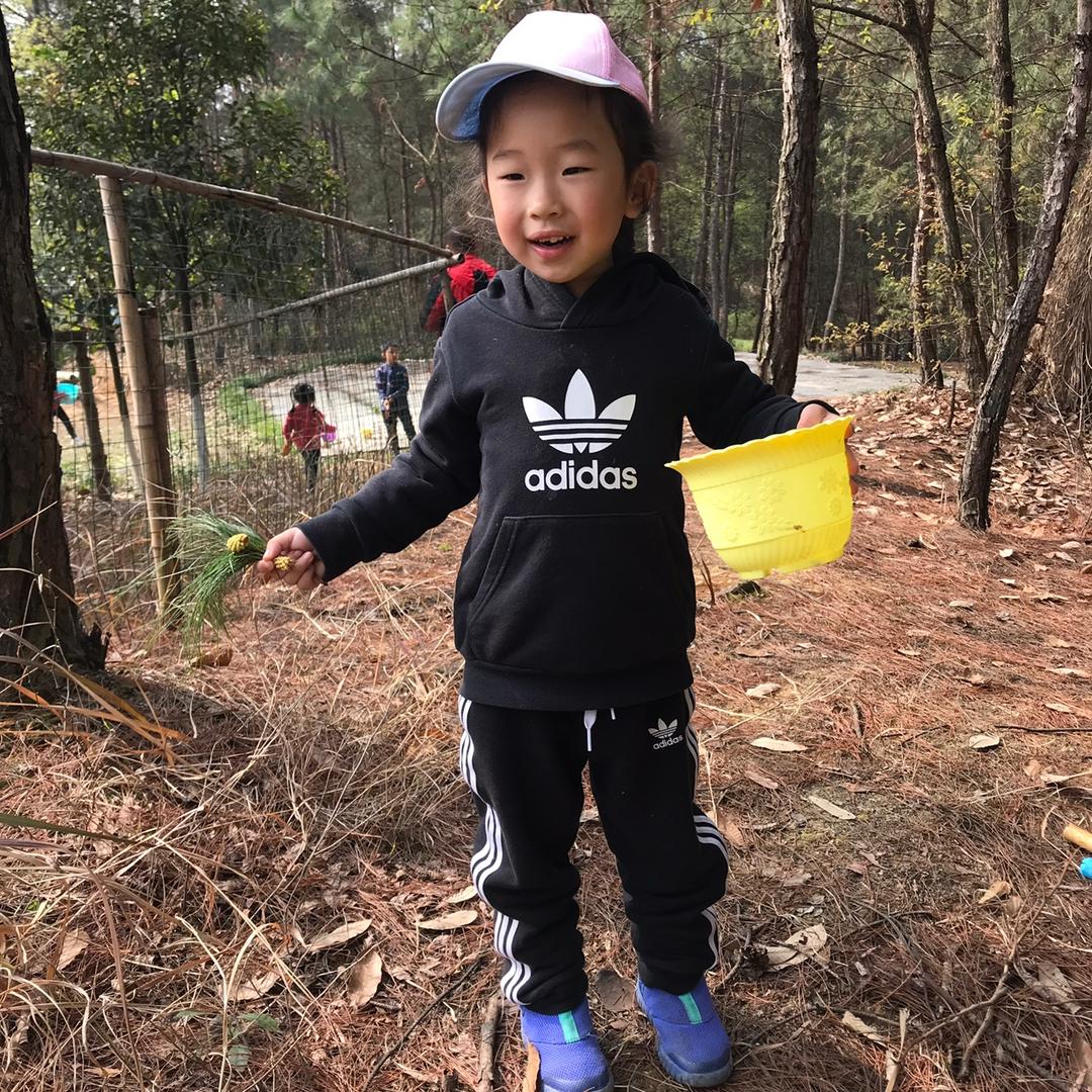 爱兔子