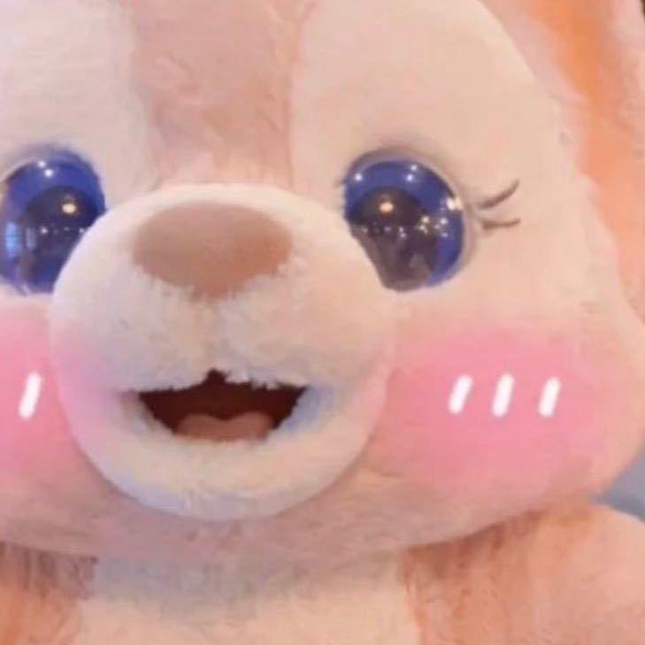 ʕ ᵔᴥᵔ ʔ