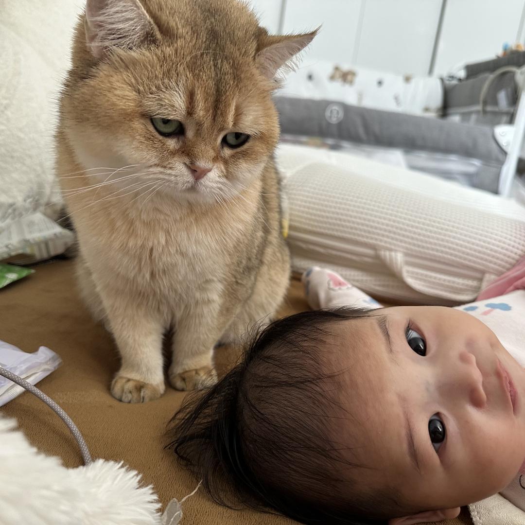 是可爱呀🐱