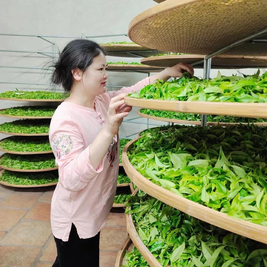 深圳市柯世金茶业优品店