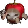 季與海