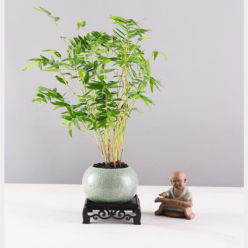 竹禅雅苑