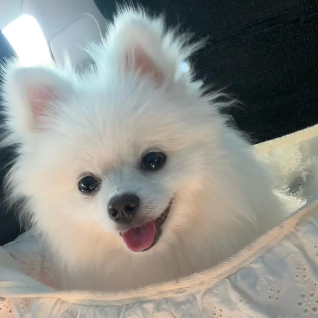 起飞中7