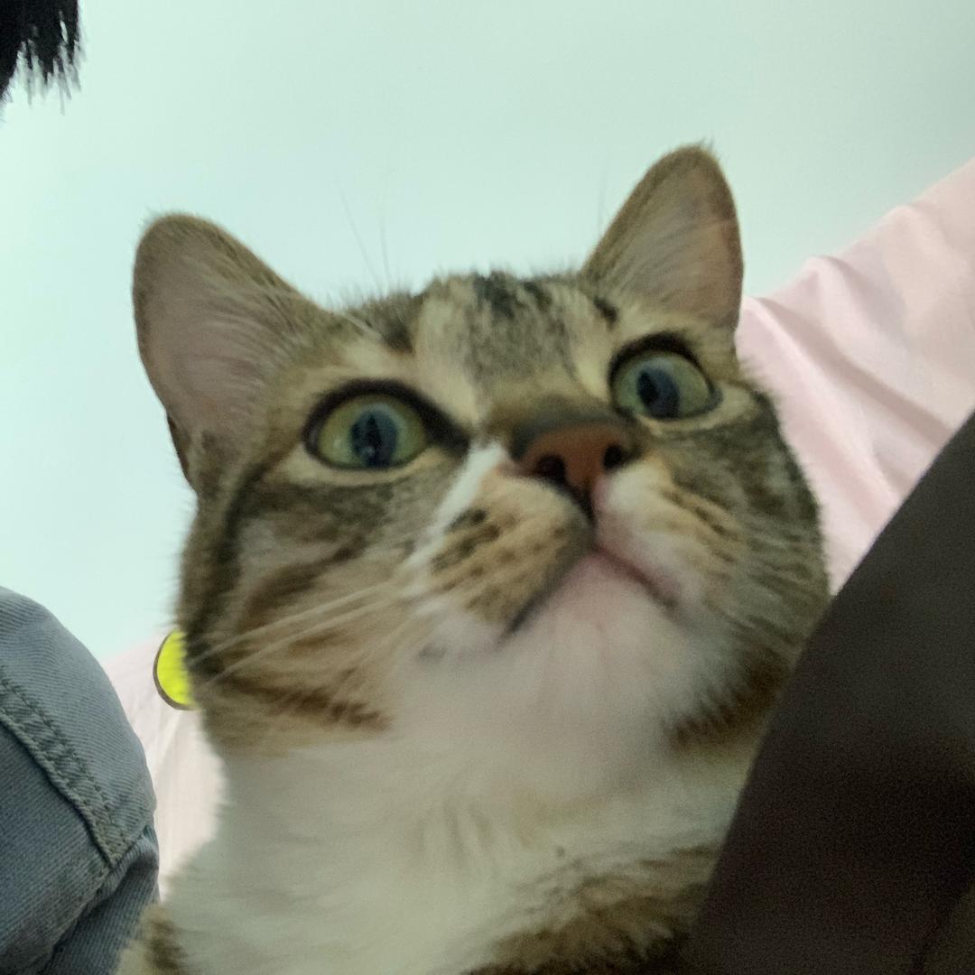 熊熊熊熊