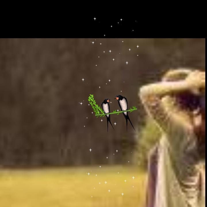 平儿姐姐
