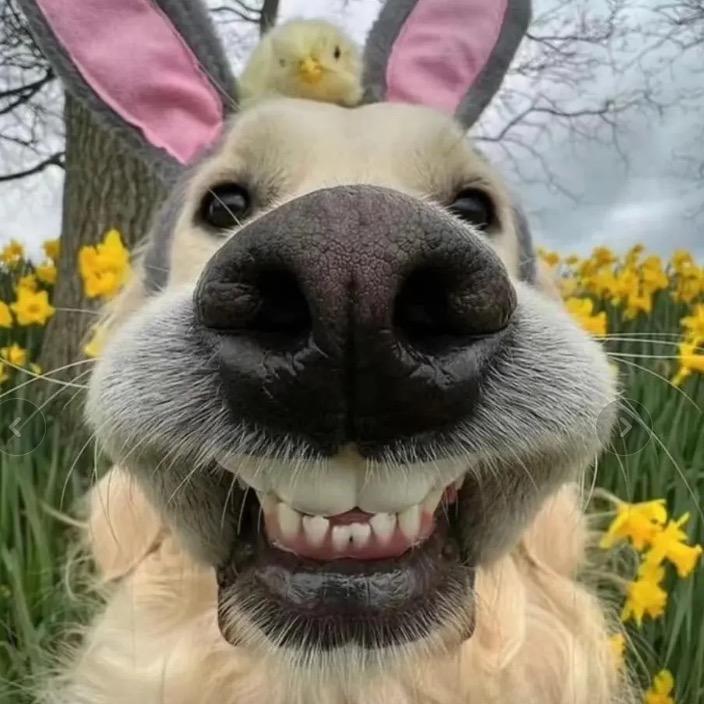 花花⁸⁸⁹⁶今天过生日