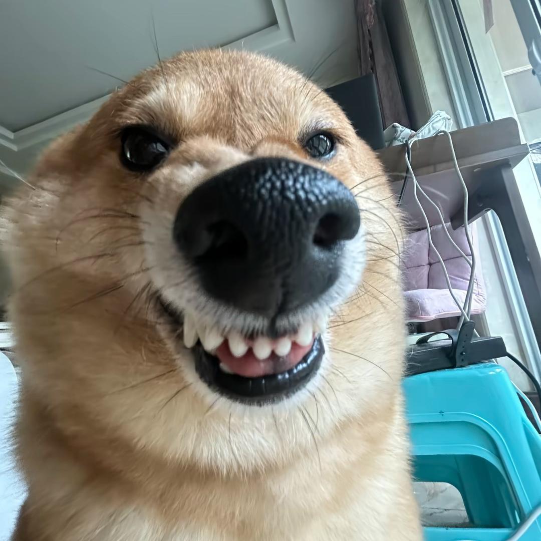 锅巴