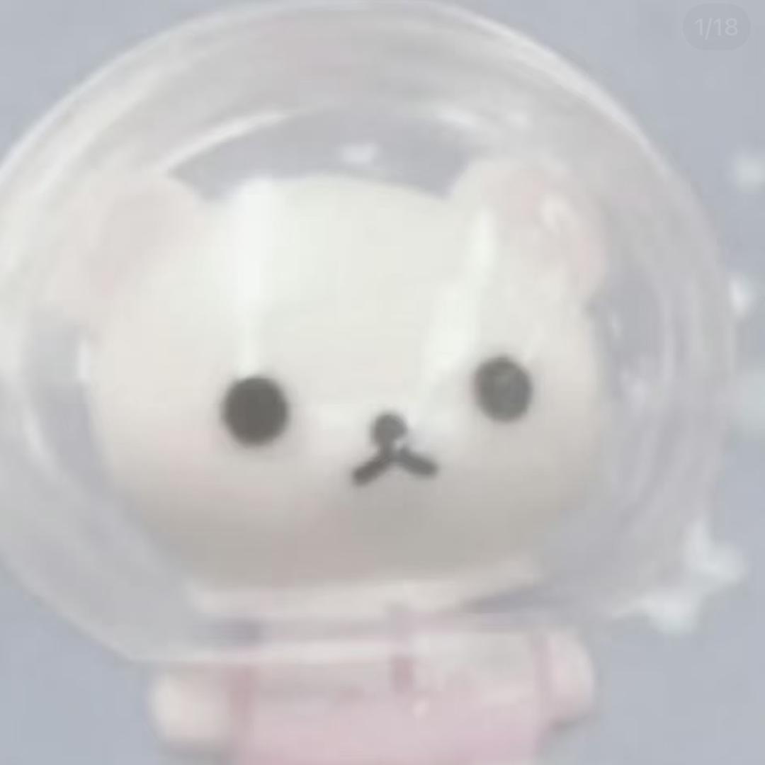 骨头猫
