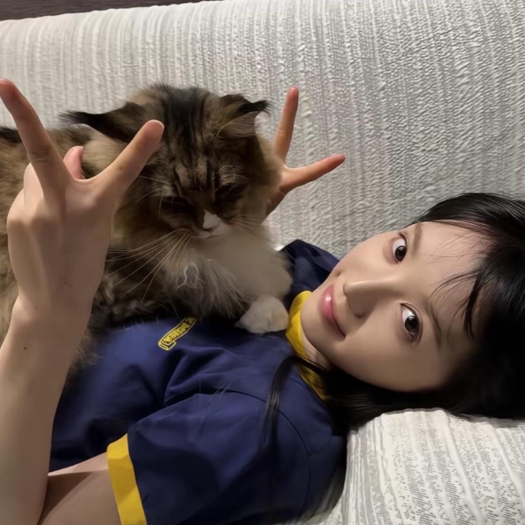 亿颗栗子.
