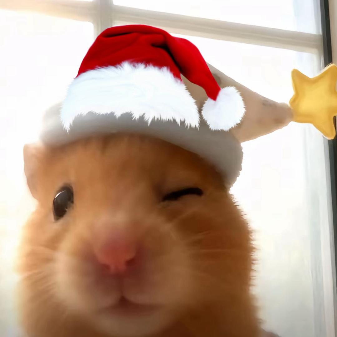 极品肉丝大王666.