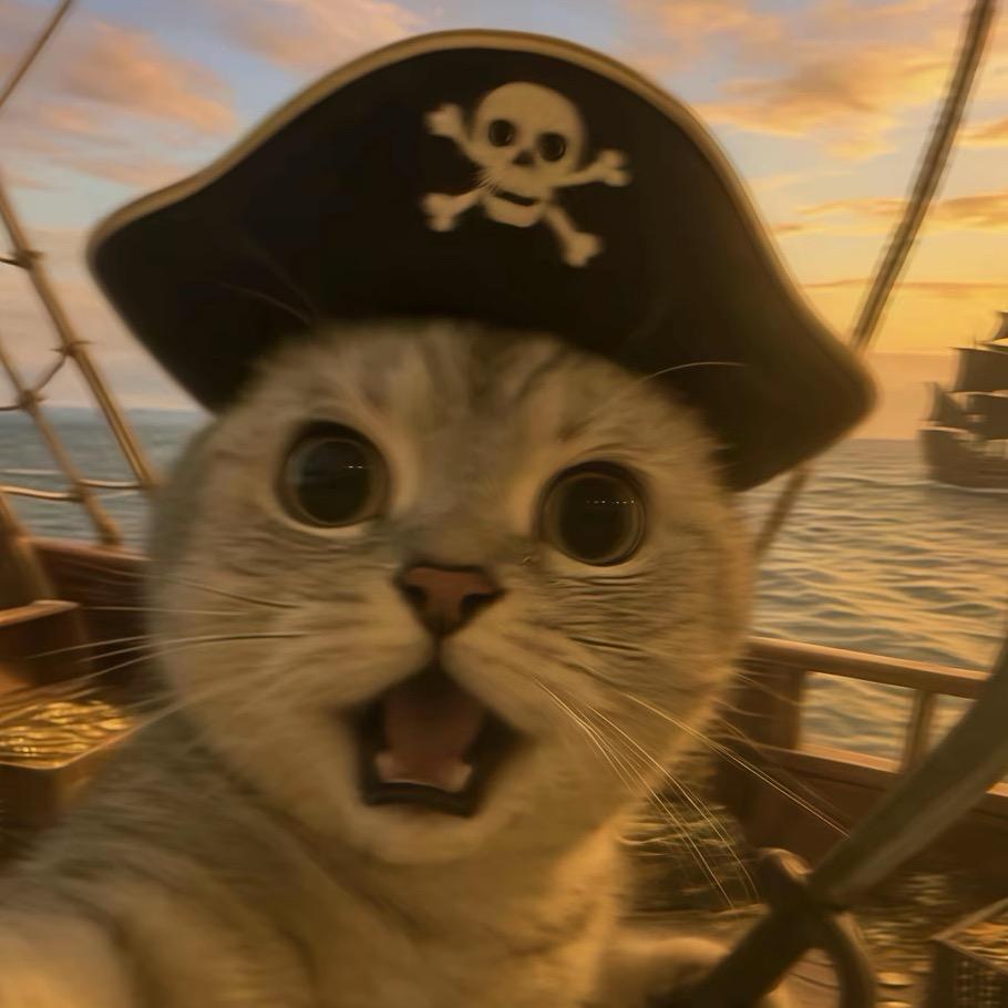 钰儿外贸服装店广州流口贸易得2直播号