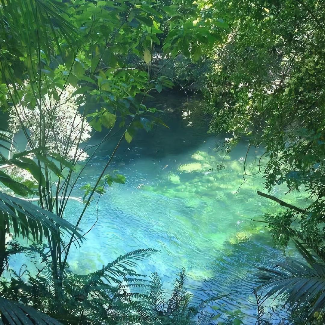 那个釹仁