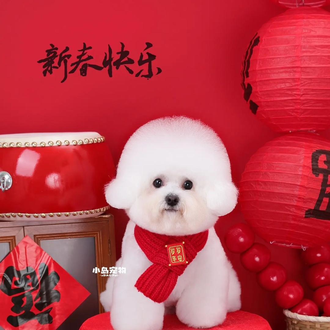 心心🐱