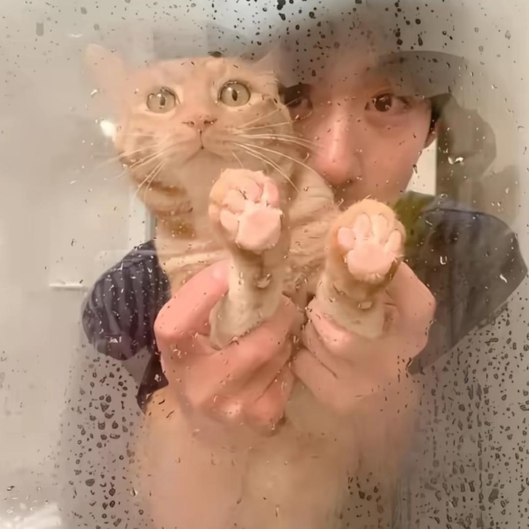 𝙆𝙐𝙍𝘾𝙃.