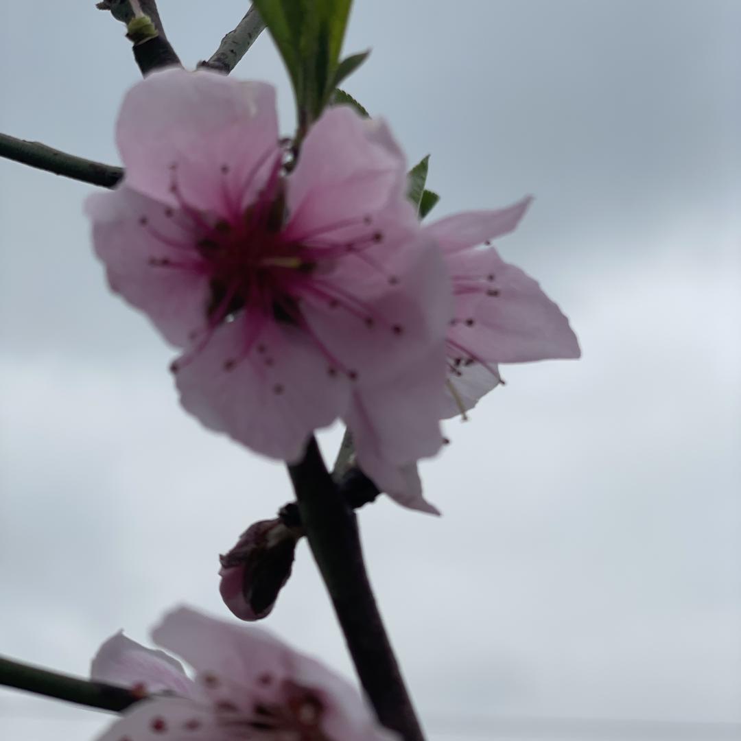 郭家人品质市集