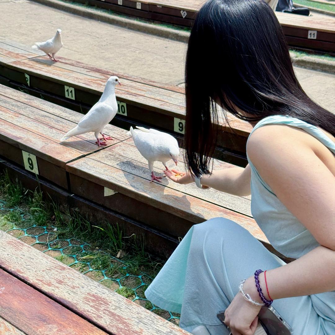 莓烦恼