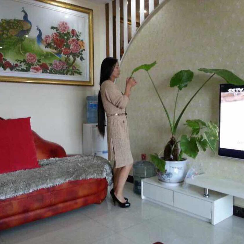 呀呀🌹
