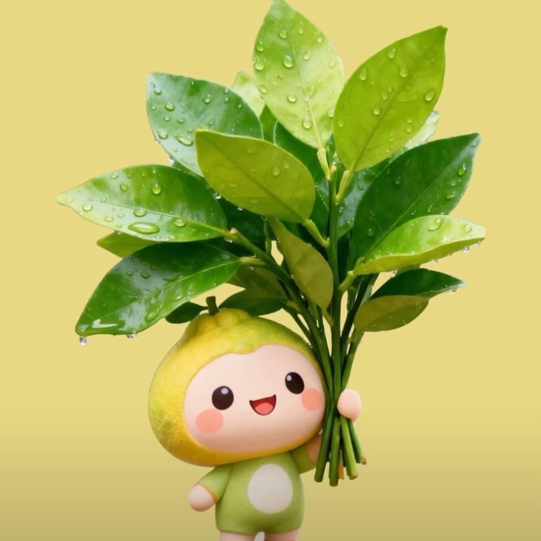 R_🌼