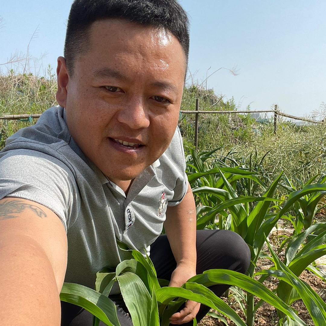 豫东大江