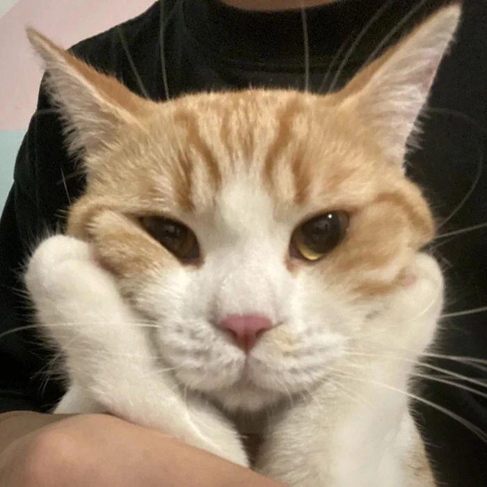 M。