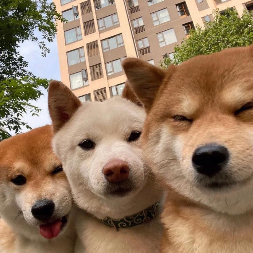 陈荔枝-