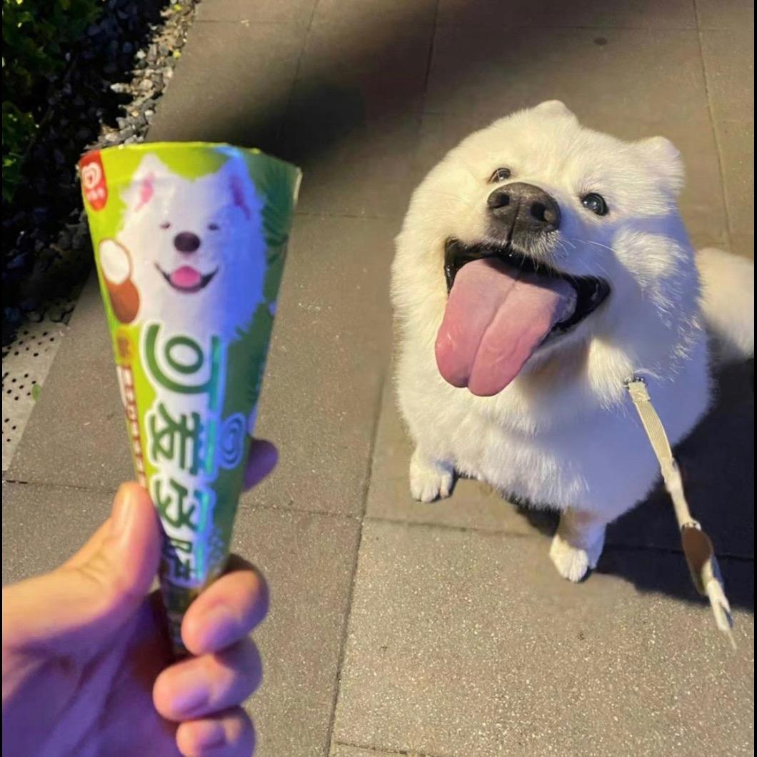 宇宙无敌狂拽炫酷傲世九重天之机甲暴龙兽