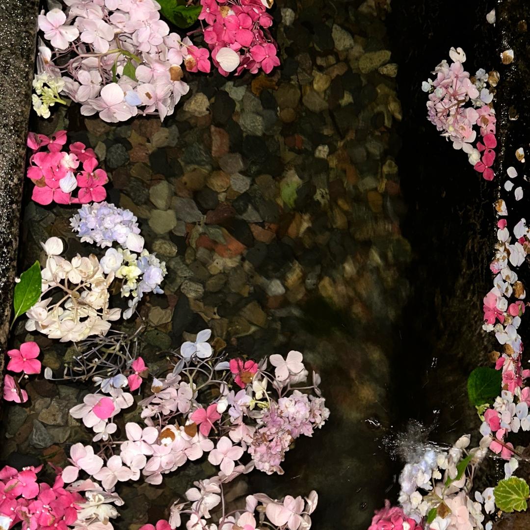 奥特曼