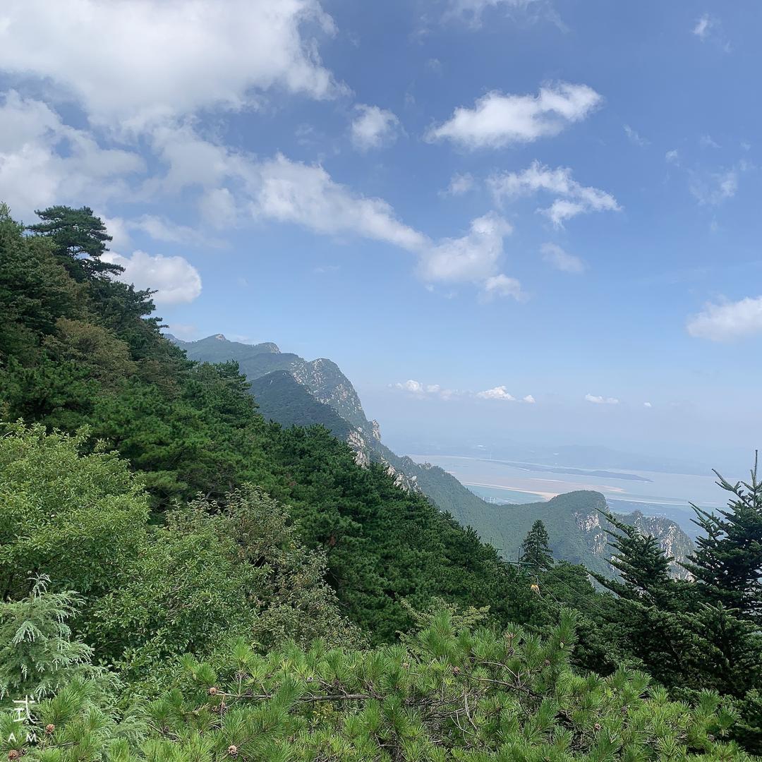 🎊暖心向阳🌸🌻