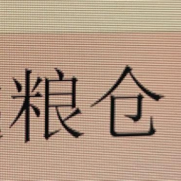 小纹总裁