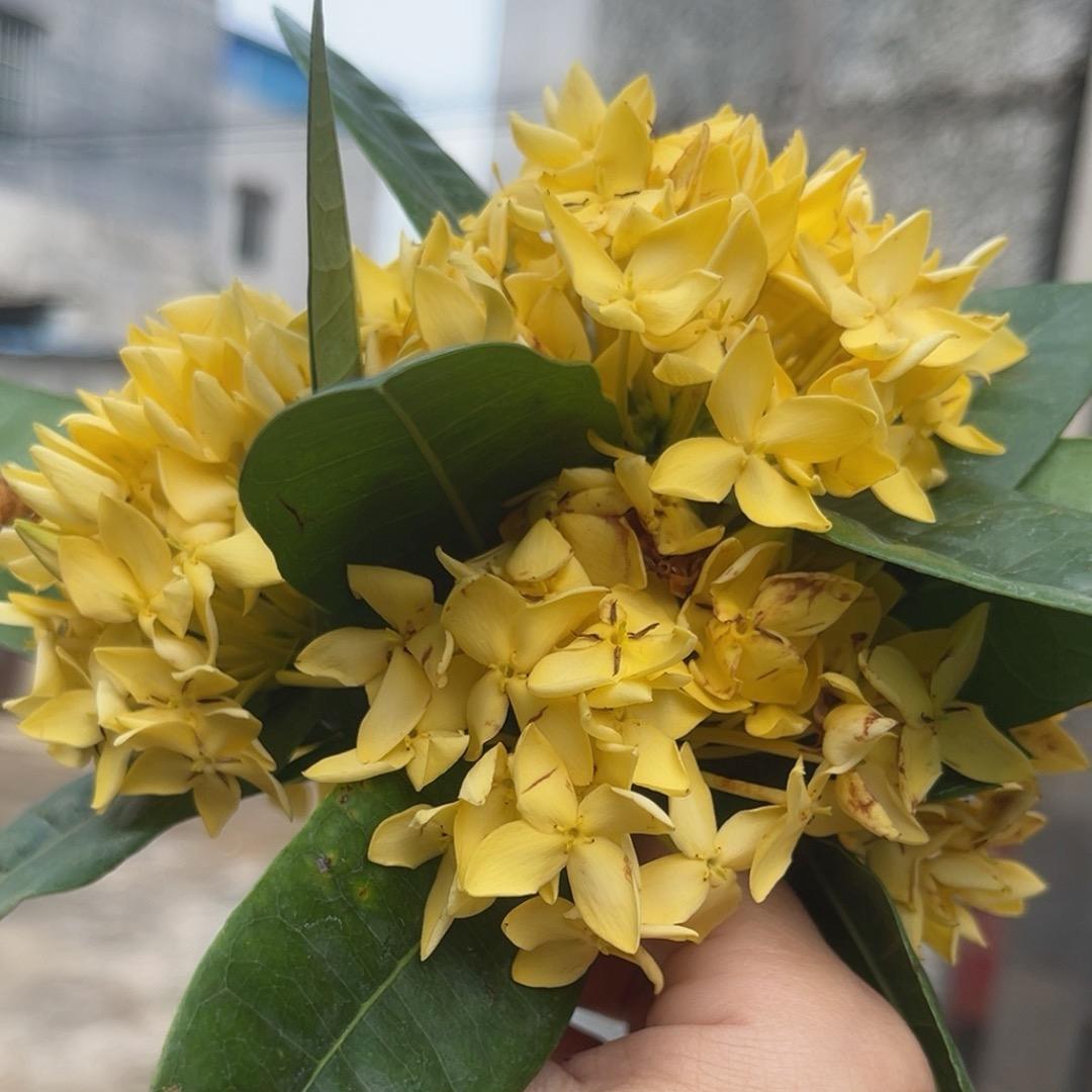 💞余ꦿ生ꦿ爱ꦿ自ꦿ己ཀྀ࿐