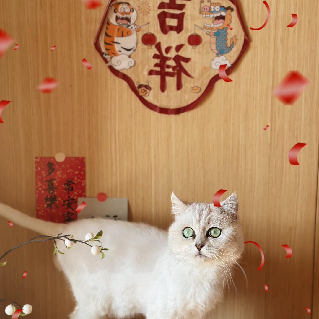 呦，王大小姐来了