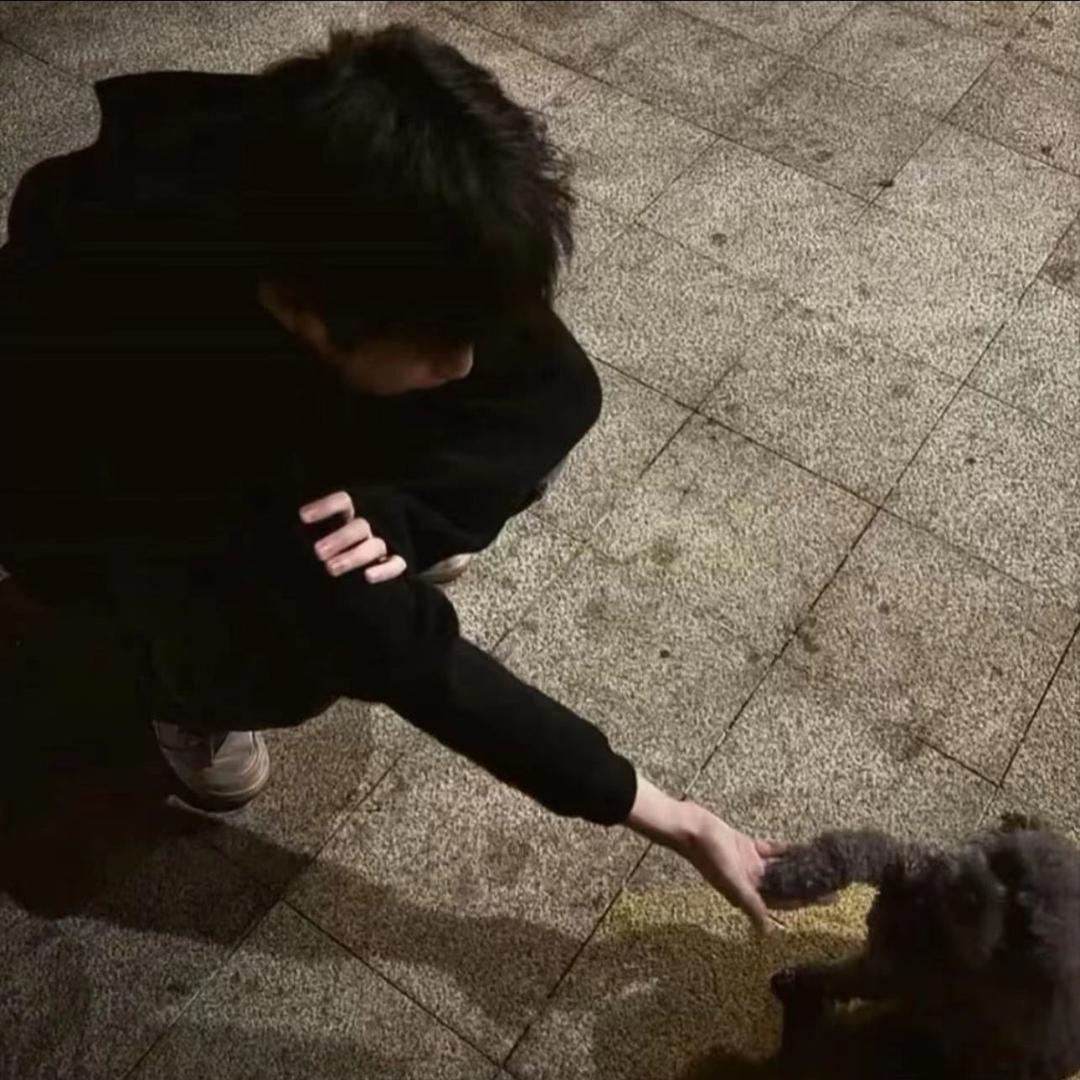 樊樊