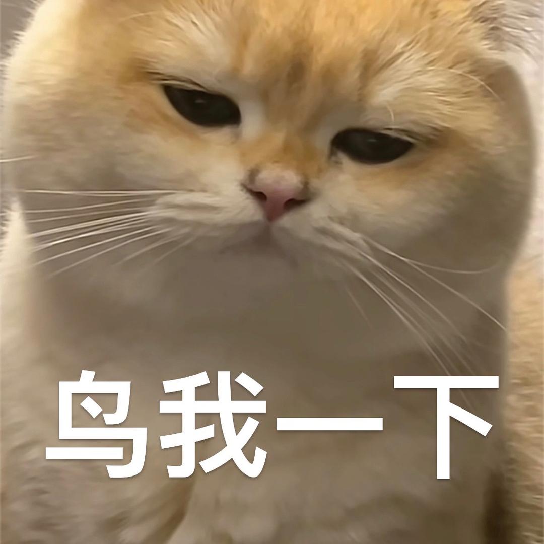 圆