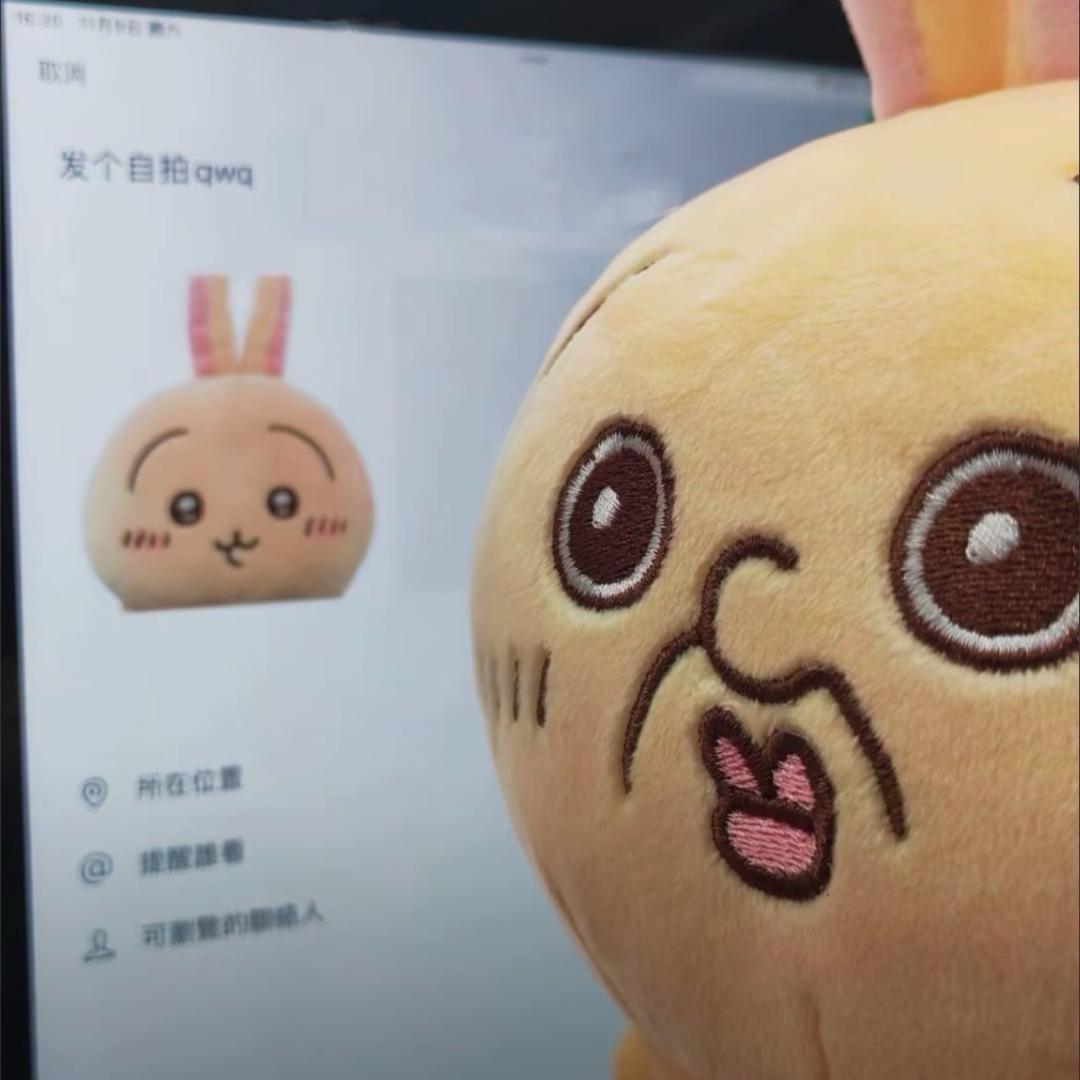 祭奠我死去的头皮