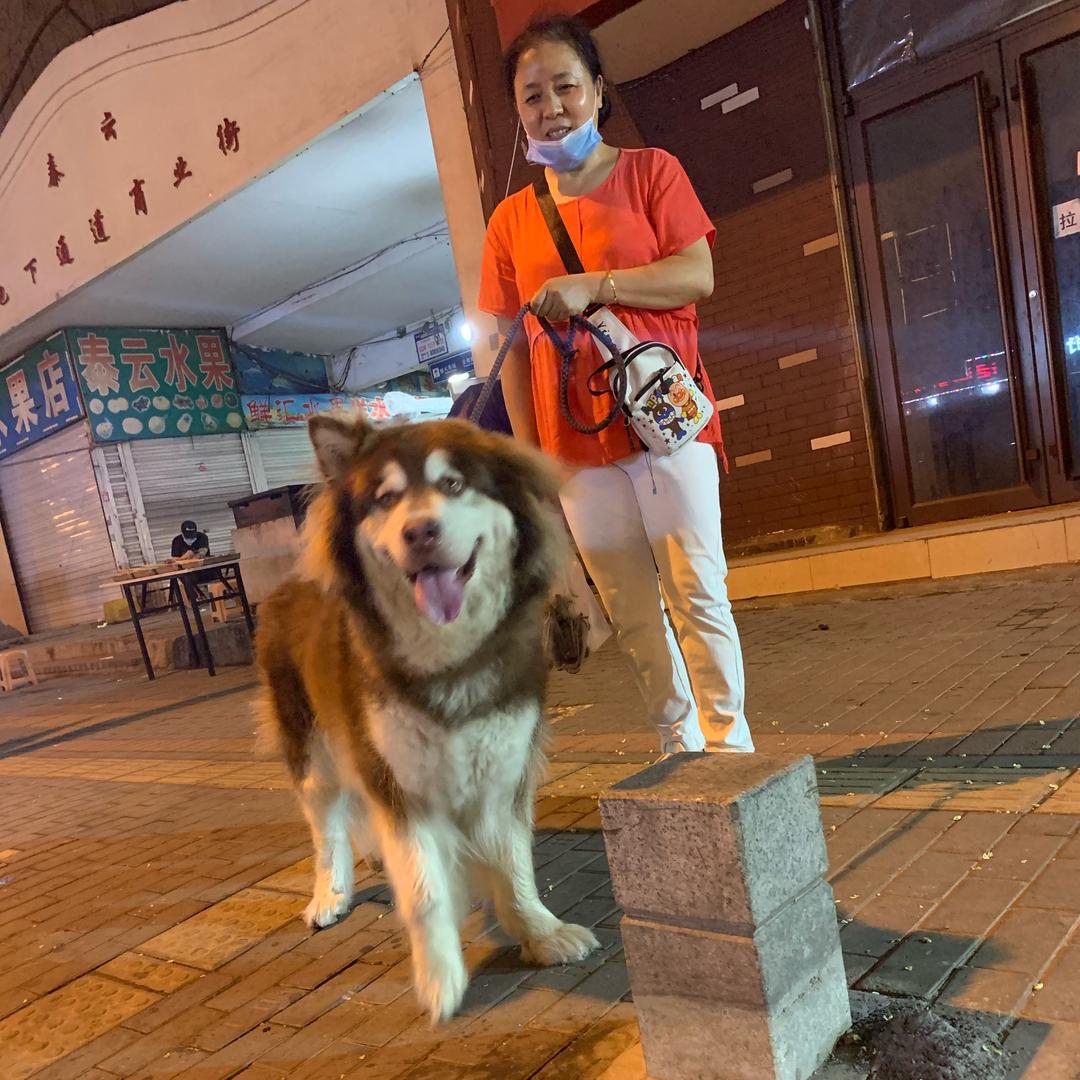细雨润风