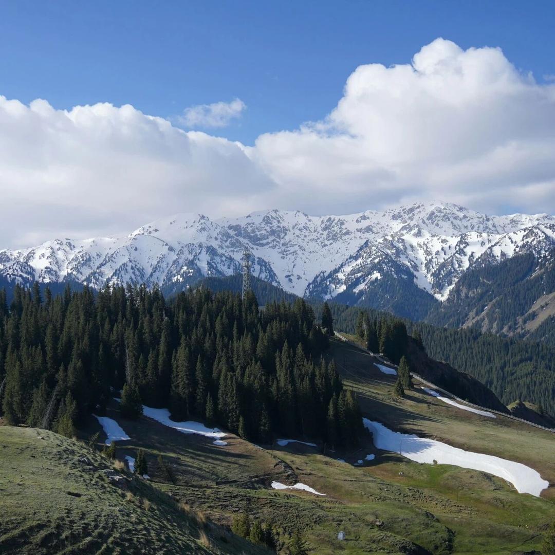 🌈🌈🌈唯马是瞻