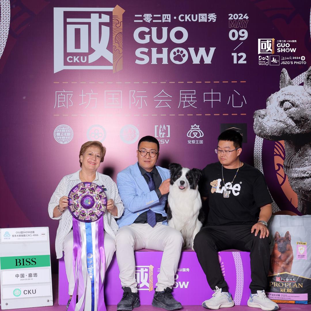 新希望犬舍