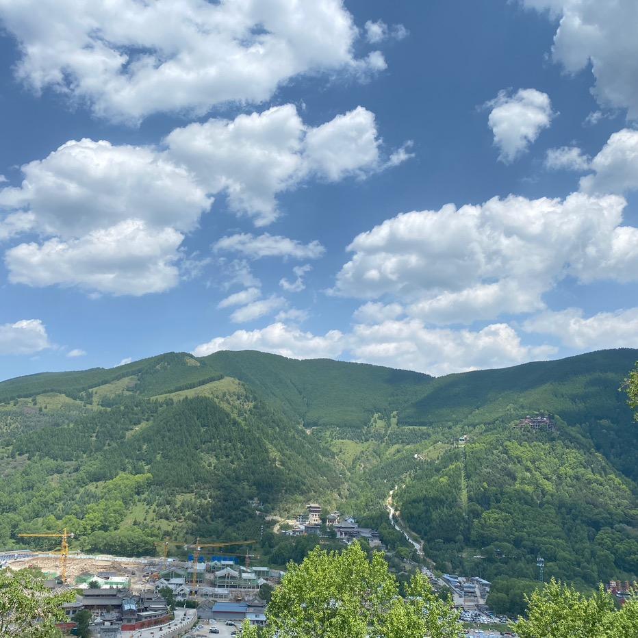 顺其自然