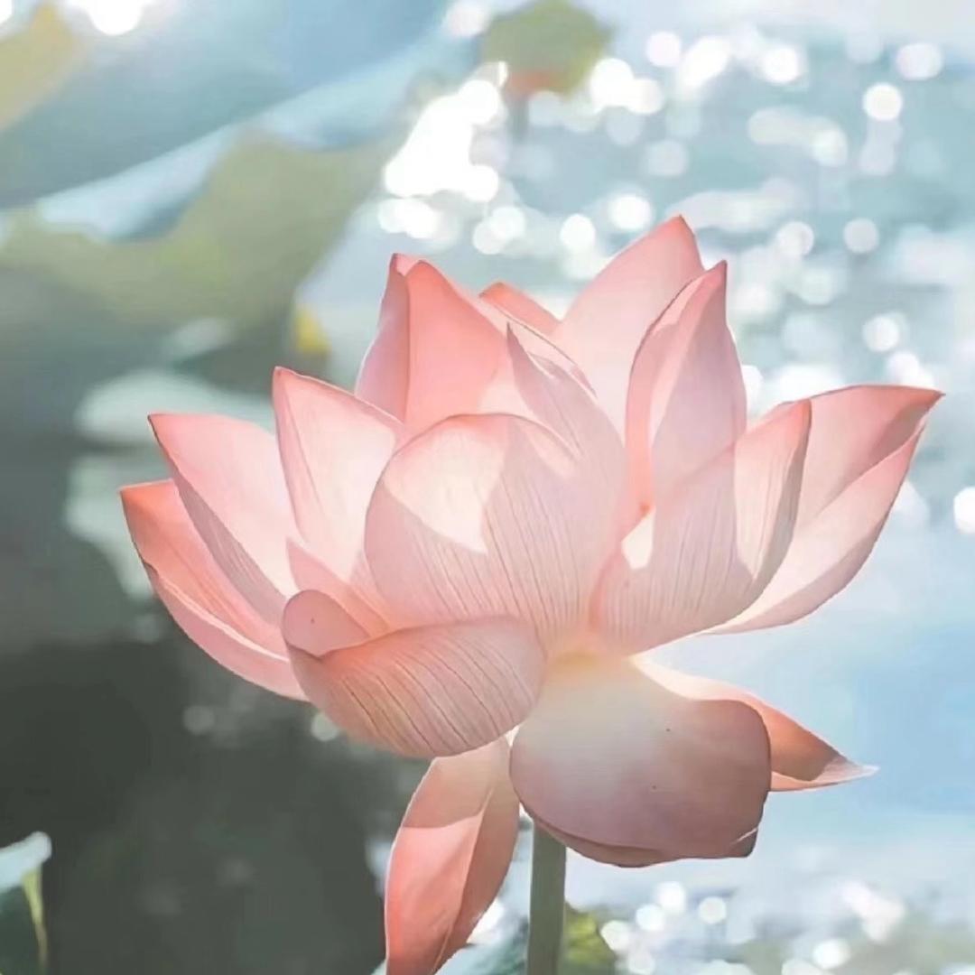 欢聚剧场