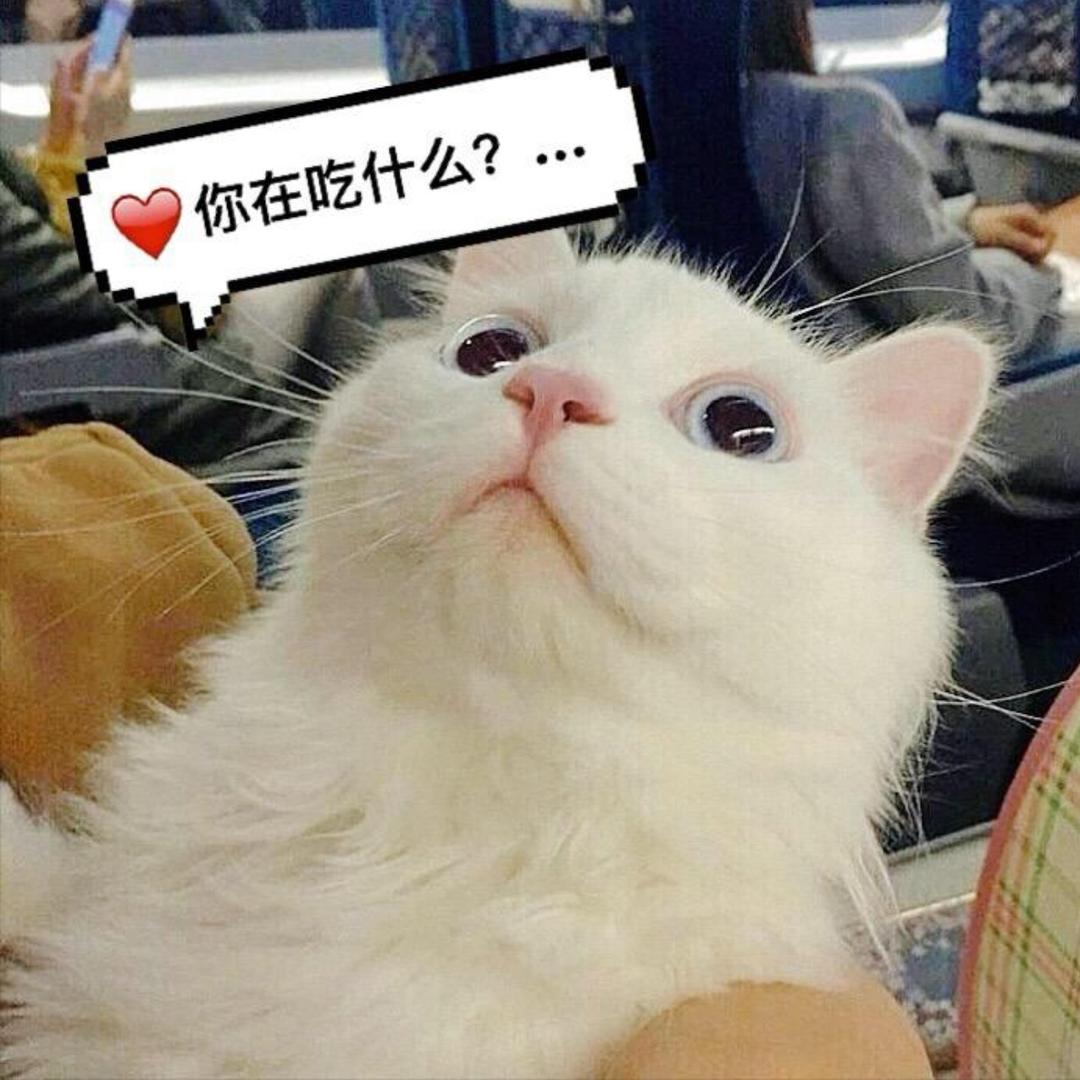涵妈🔥超爱吃