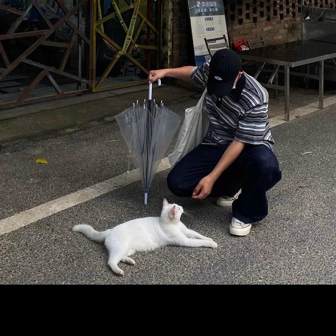 十二里路