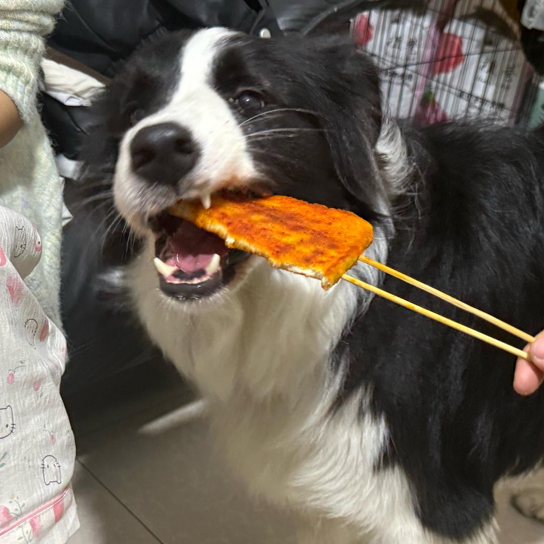 土豆豆🥔